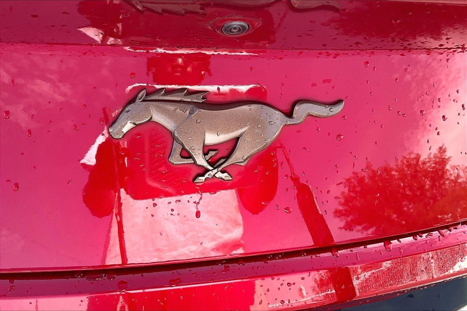 2024 Ford Mustang EcoBoost