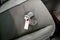 2026 Jeep Wrangler 4-Door Sport RHD 4x4