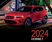 2024-hornet